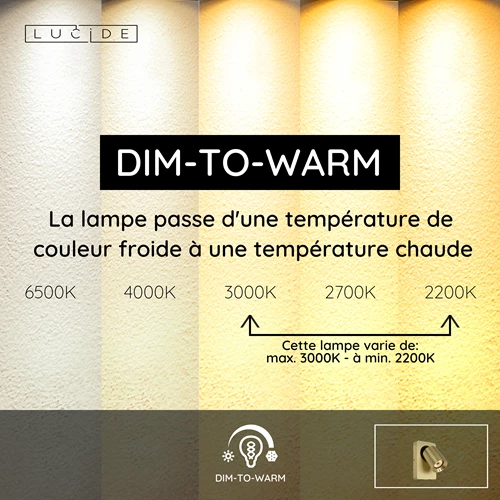 Lucide NIGEL - Lampe de chevet / Applique mural - LED Dim to warm - GU10 - 1x5W 2200K/3000K - Point de rechargement USB - Or Mat / Laiton - USP